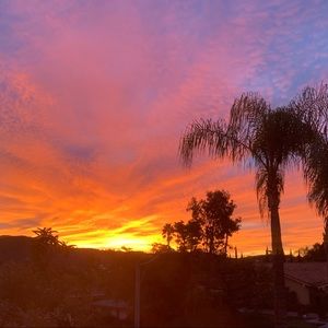 Meet your Posher, Marielle